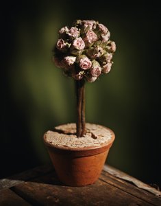 多活架构
